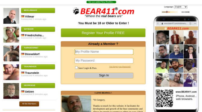Is Bear411 the Best Place to Find Love and Romance?